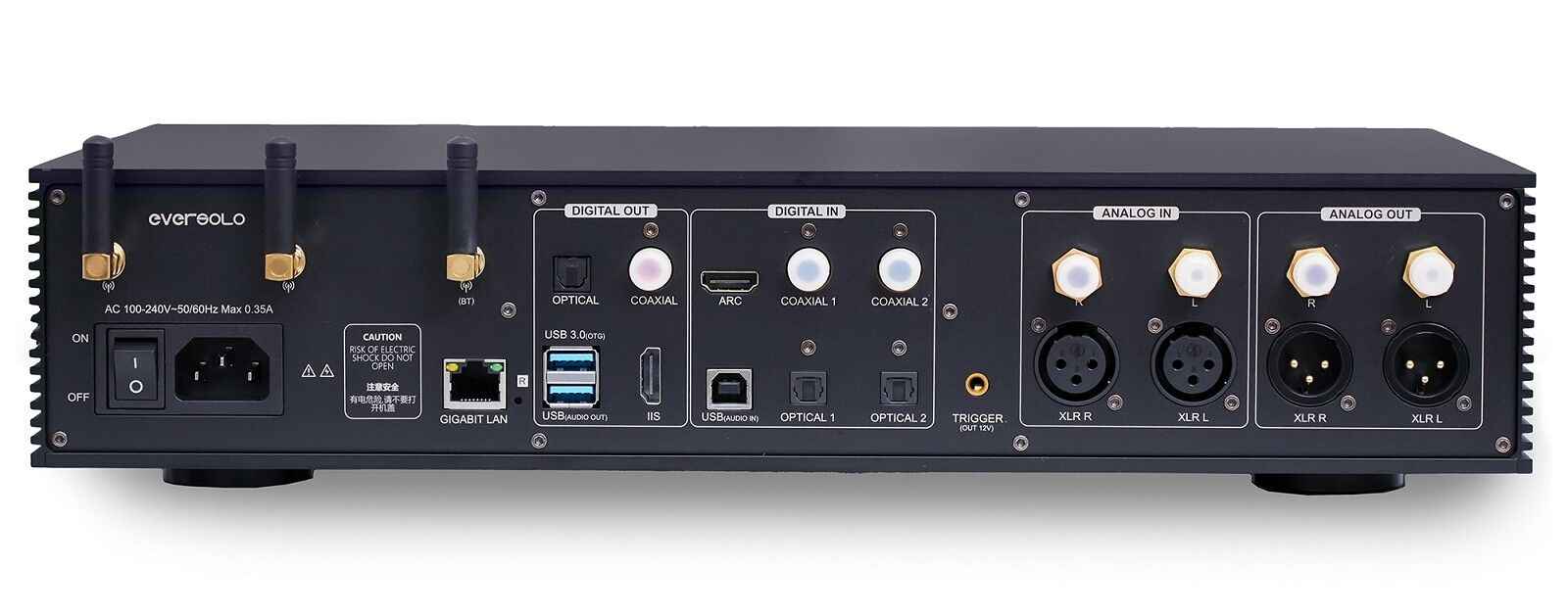 EverSolo  DMP-A8